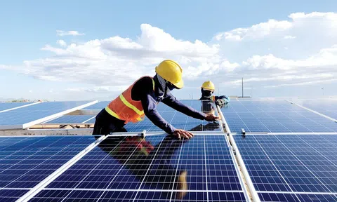 Nam Phương Energy chậm trả lãi lô trái phiếu 450 tỷ đồng