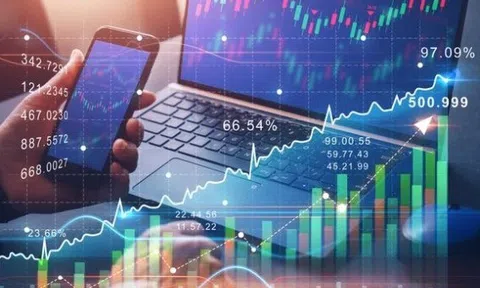 HOSE đình chỉ giao dịch cổ phiếu Apax Holdings của ‘Shark’ Thủy