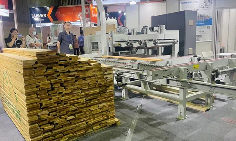 Vietnam Wood 2023 trình diễn nhiều giải pháp xây dựng nhà máy chế biến gỗ thông minh