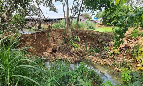 4 công ty chăn nuôi lớn tại Đồng Nai bị tạm dừng hoạt động