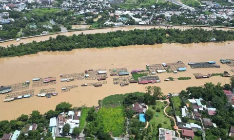 Đồng Nai: Di dời hàng trăm lồng, bè nuôi cá để xây cầu Thống Nhất