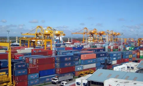 Nợ thuế nội địa, doanh nghiệp của đại gia Đinh Trường Chinh bị ngưng thông quan