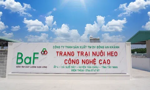 Kết thúc Quý III/2023, Nông nghiệp BaF của đại gia Trương Sỹ Bá kinh doanh ra sao?