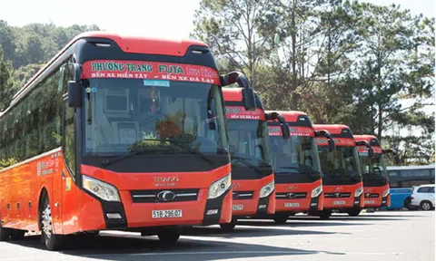 Khởi tố vụ án liên quan đến xe buýt hãng Phương Trang chở 1.700 gói thuốc lá lậu