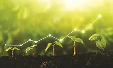 Chuyển đổi số và chuyển đổi xanh là cơ hội để doanh nghiệp bứt phá