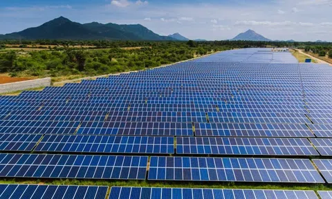 Cuộc thi Ý tưởng khởi nghiệp SolarX nhằm thúc đẩy các sáng kiến năng lượng mặt trời