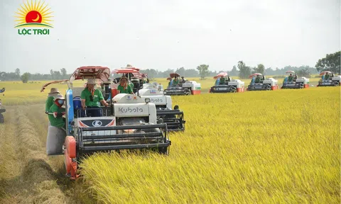 Tập đoàn Lộc Trời tiếp tục đồng tâm, hiệp lực trên hành trình “Cùng nông dân phát triển bền vững”