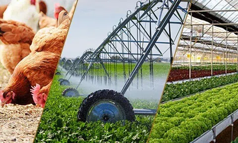 Tây Ninh: Điểm sáng của sản xuất nông, lâm nghiệp và thủy sản trong 2 tháng đầu năm 2024