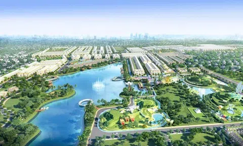 Nhiều “đại bàng về làm tổ” ở vùng đất mới cùng với loạt dự án bất động sản tỉ USD