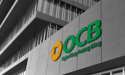 OCB liên tục triển khai nhiều biện pháp quản trị rủi ro tiên tiến và xử lý nợ xấu đồng bộ, tháo gỡ khó khăn cùng khách hàng