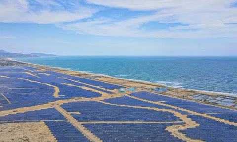 BCG Energy được chấp thuận trở thành công ty đại chúng, tiến tới đăng ký giao dịch trên sàn UPCoM