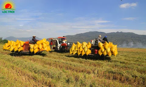 Tập đoàn Lộc Trời xuất khẩu trực tiếp 100.000 tấn gạo, thu về trên 55 triệu USD trong 2 tháng tới