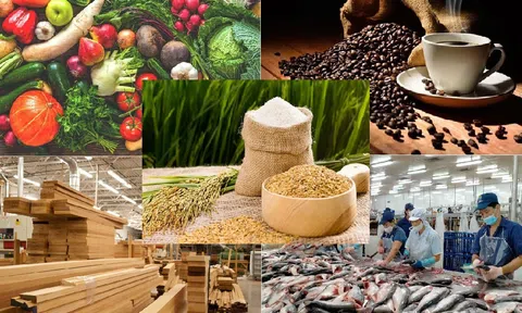 Trong 5 tháng đầu năm, kim ngạch xuất khẩu nông lâm thủy sản thu về hơn 24 tỷ USD