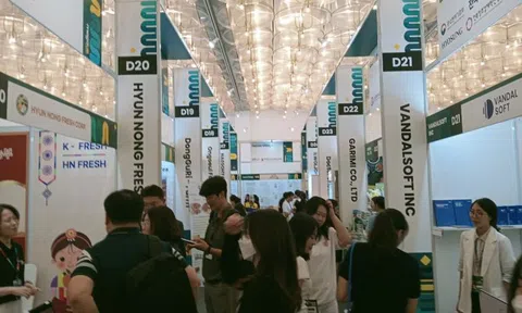 Thúc đẩy hệ sinh thái khởi nghiệp sáng tạo Việt – Hàn