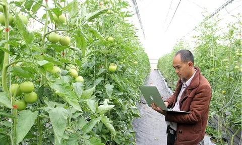 Đẩy mạnh kết nối khoa học và công nghệ, sản phẩm trong nông nghiệp giữa Tây Nguyên và TP.HCM