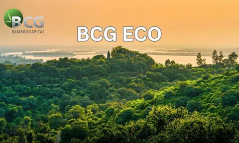 BCG Eco bắt tay các đối tác quốc tế thúc đẩy thị trường tín chỉ carbon