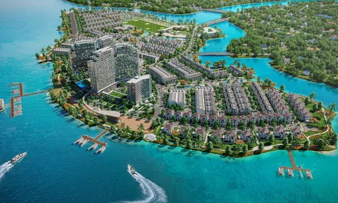 Đấu giá thành công, TTC Land chính thức sở hữu 100% dự án Cù Lao Tân Vạn