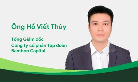 Bamboo Capital bổ nhiệm tân CEO Hồ Viết Thuỳ, tiếp tục thực hiện chiến lược trẻ hóa lãnh đạo