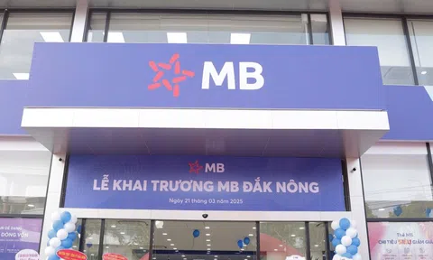 MB đồng hành cùng Đắk Nông: Khai trương chi nhánh mới và thu xếp vốn dự án tỷ đô