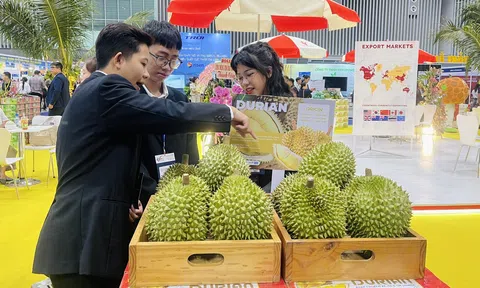 Đưa “con tàu” xuất khẩu xanh vươn ra thế giới