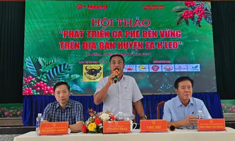 Định vị ngành cà phê: Phát triển cà phê bền vững là xu thế tất yếu