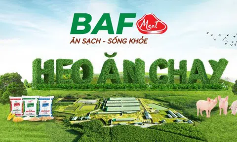 BaF Việt Nam (BAF): Lợi nhuận tăng gấp 10 nhờ chiến lược “xanh hóa” chăn nuôi