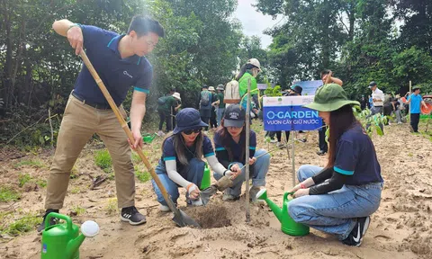 Hưởng ứng ngày môi trường thế giới, OPES trao tặng gần 1.300 cây giống tại tỉnh Tây Ninh