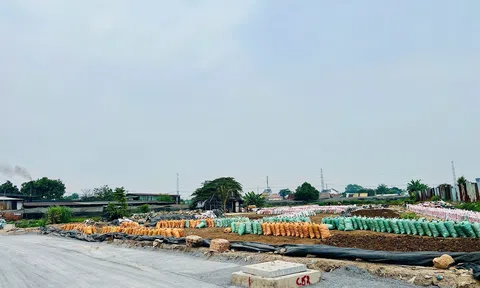 TP.HCM giải bài toán ô nhiễm môi trường từ chất thải nông nghiệp