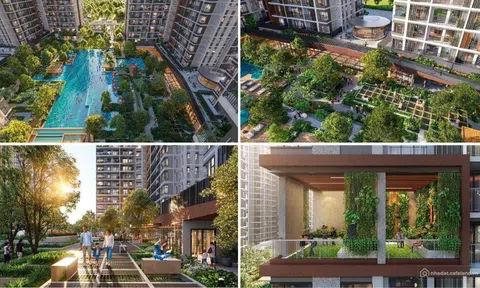 Elysian bứt phá tại TP.HCM với chiến lược bán hàng khác biệt