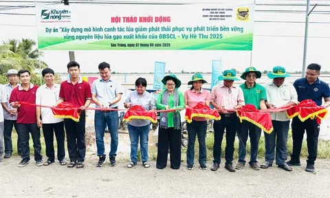 Đồng bằng sông Cửu Long đẩy mạnh mô hình canh tác giảm phát thải: “Ruộng lúa sạch - Tương lai xanh”