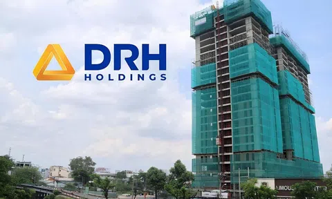 DRH Holdings bị xử phạt gần 800 triệu đồng