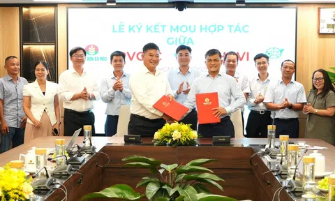 PVCFC và CHAVI cùng đồng hành kiến tạo giá trị mới cho nông nghiệp Việt