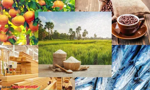 Ngân hàng Nhà nước mở rộng gói tín dụng hỗ trợ tam nông