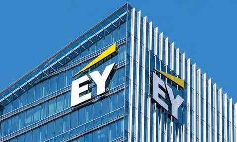 EY Việt Nam: Gã khổng lồ với biên lợi nhuận ròng mỏng như "lá lúa"