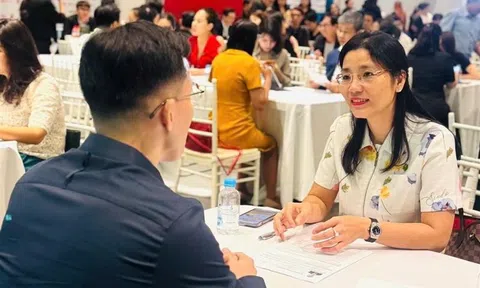 Hội thảo Nhân tài lần 2: NovaGroup tìm kiếm nguồn lực cho giai đoạn phát triển mới