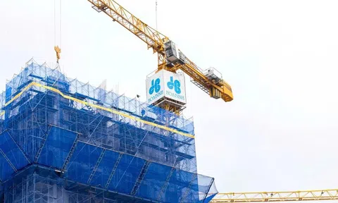 Hòa Bình chậm thanh toán trái phiếu dù lợi nhuận quý III tăng mạnh