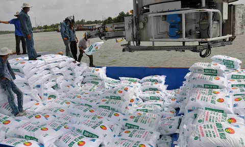 Giá ure tăng, hàng loạt doanh nghiệp phân bón bứt phá lợi nhuận