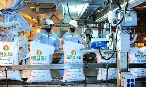 DCM điều chỉnh mục tiêu doanh thu lên hơn 15.000 tỷ đồng, tăng 88% lợi nhuận