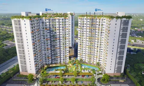 Seaholdings cất nóc tháp T1B Destino Centro: Điểm sáng về tiến độ tại cửa ngõ khu Tây TP.HCM