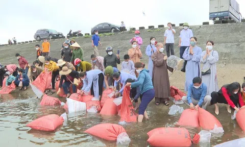 Hà Tĩnh thả hơn 40.000 con cá giống tái tạo nguồn lợi thủy sản.