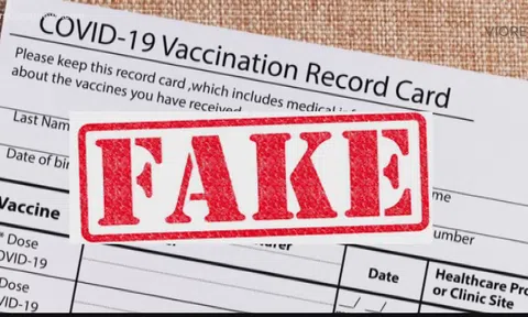 Canada: Nhiều đối tượng tội phạm chào bán chứng nhận tiêm chủng COVID-19 giả