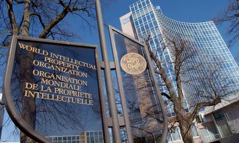WIPO thúc đẩy bảo vệ quyền sở hữu trí tuệ