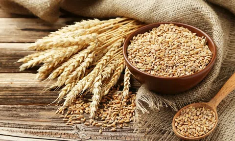 FAO: Giá lương thực thế giới chạm đỉnh của 10 năm