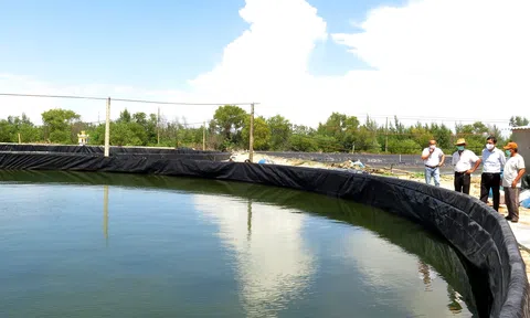 Mô hình nuôi tôm trên cát bằng ao tròn đa lợi ích