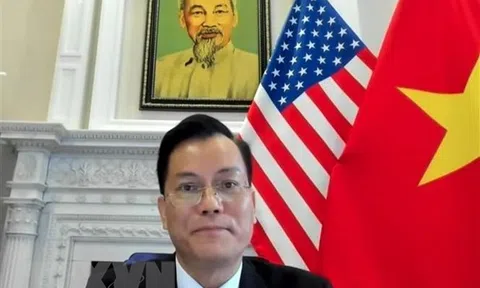 Đại sứ Hà Kim Ngọc tham dự Đối thoại chính sách kênh 1,5 Đối tác Mekong-Mỹ về chủ đề "Năng lượng và Hạ tầng"