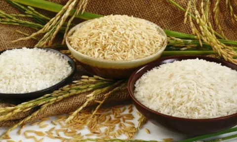 Nhãn hiệu Gạo Việt Nam/Vietnam Rice được bảo hộ tại 22 quốc gia
