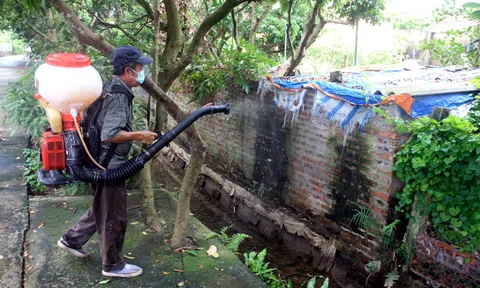 Ngăn chặn nguy cơ lan rộng dịch tả lợn châu Phi