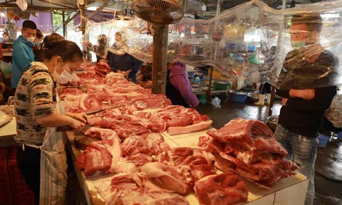 Giá lợn hơi có xu hướng tăng trở lại