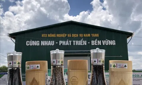 Đổi mới hoạt động và tư duy sản xuất của các hợp tác xã