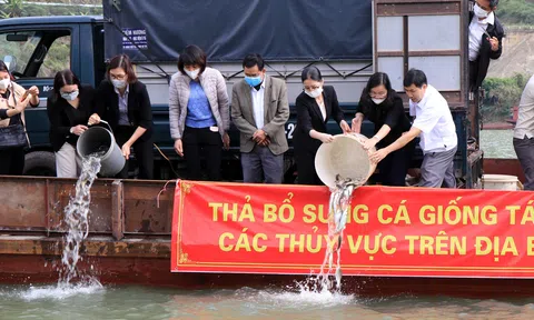 Sơn La thả 200 nghìn con cá giống tái tạo nguồn lợi thủy sản